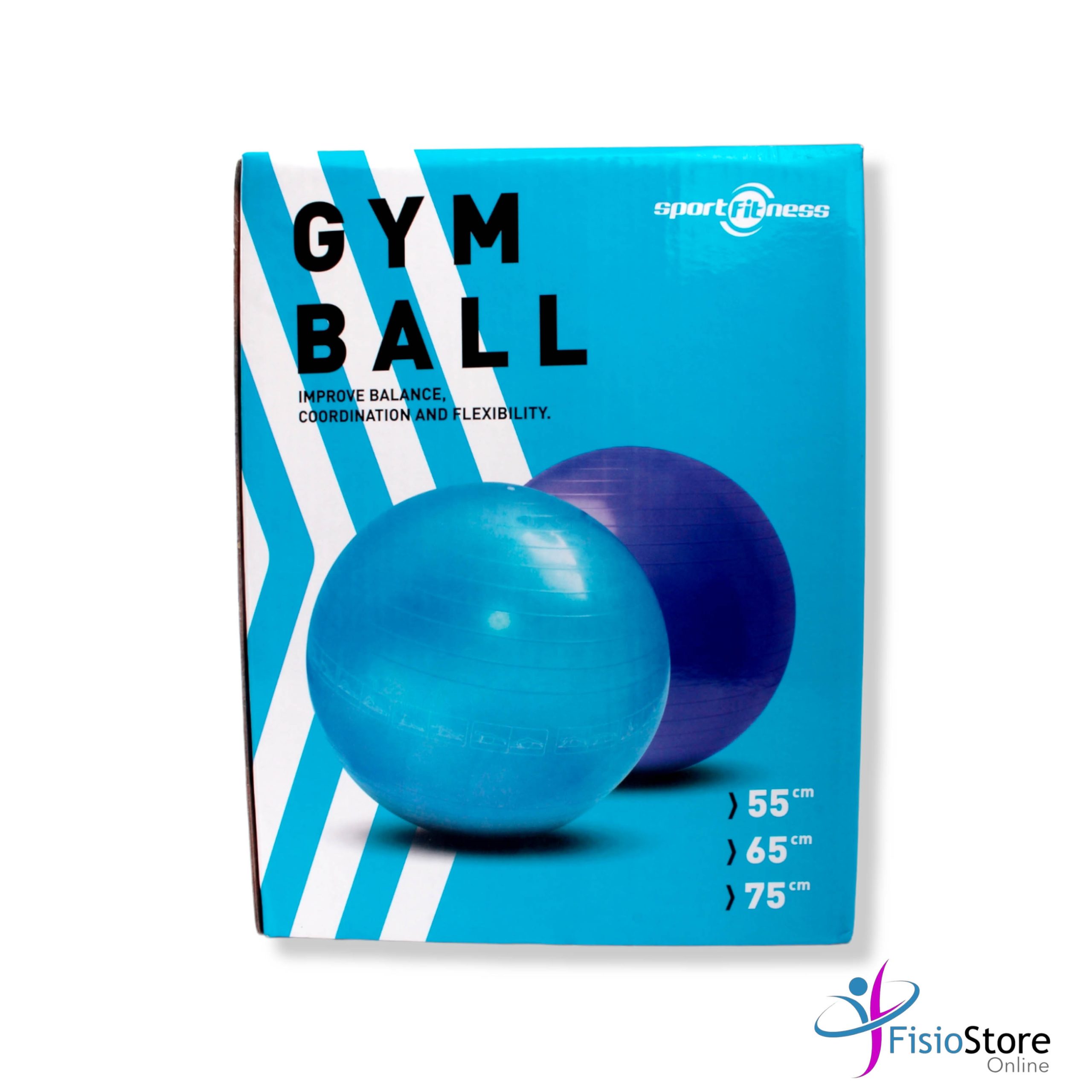 PELOTAS TERAPÉUTICAS 55 CM